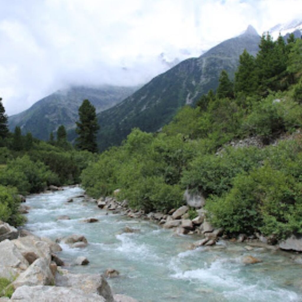 Klarer Bergbach, der durch eine grüne, bewaldete Landschaft in den Alpen fließt, mit Berggipfeln im Hintergrund.